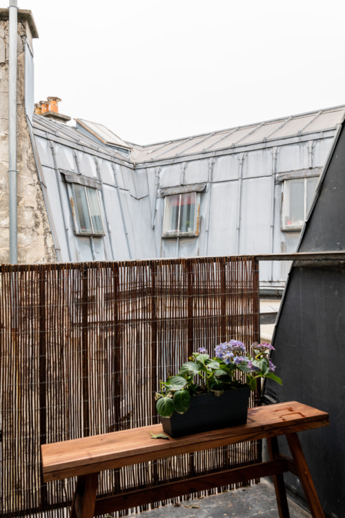 appartement parisien balcon toit en zinc