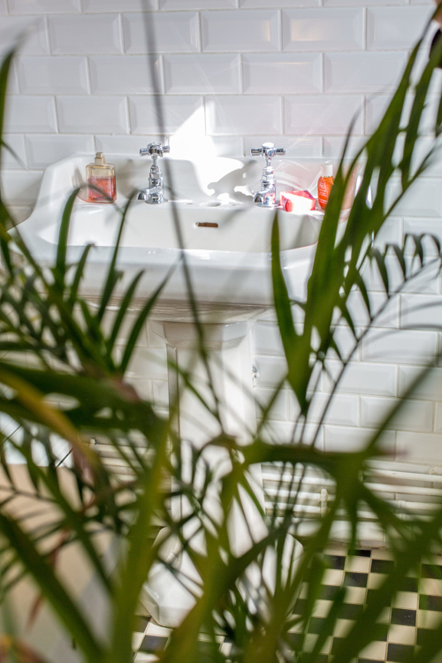 Jungle salle de bain lavabo petits intérieurs inspiration déco