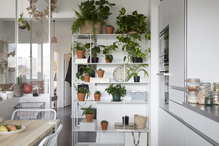 étagère plantes cuisine salle à manger petits intérieurs inspiration déco