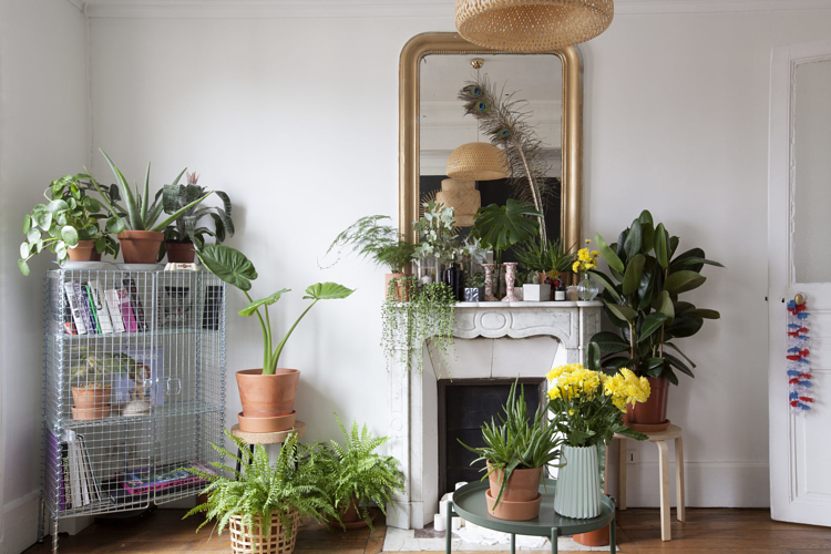 La jungle  Club Tropicana