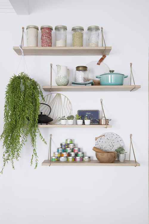 La plante perchée sur l'étagère