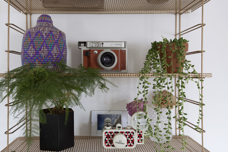 Les plantes sur l'étagères