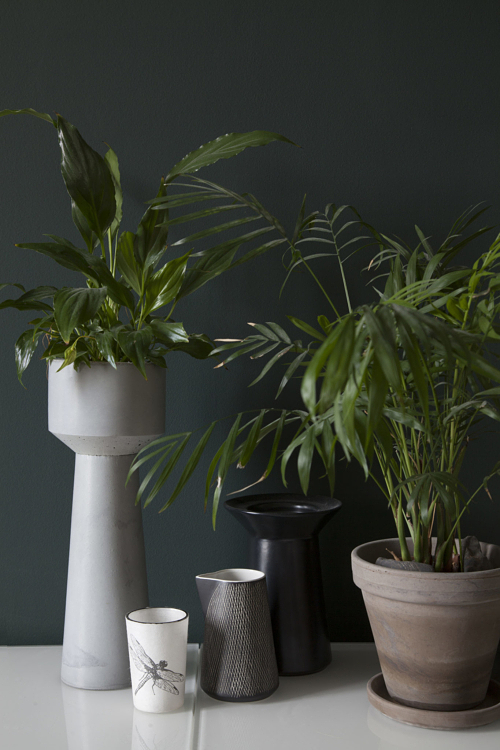 Les tours de plantes