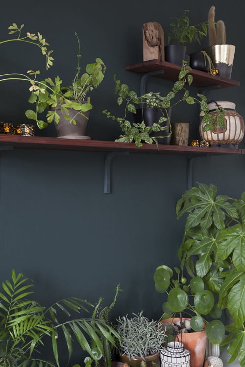 La double exposition