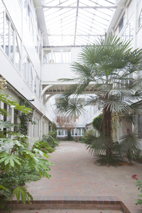 La cour