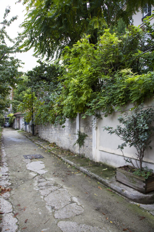 La cour